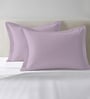 Lavender Frost Solid 400 TC Cotton Standard Sized 2 Pillow Covers