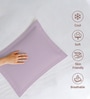 Lavender Frost Solid 400 TC Cotton Standard Sized 2 Pillow Covers