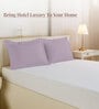 Lavender Frost Solid 400 TC Cotton Standard Sized 2 Pillow Covers
