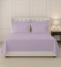 Lavender Frost Solid 400 TC Cotton Super King Sized Bedsheet with 4 Pillow Covers