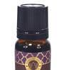 Lavender Lemongrass Ayurveda Aroma Oil In Glass Bottle