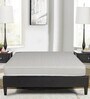 Lawrence Plus 5 inch HR Foam Queen Size Mattress in Off White Colour