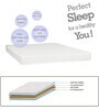 Lawrence Plus 5 inch HR Foam Queen Size Mattress in Off White Colour