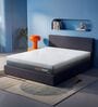Laxe 6 inch Latex Single Mattress