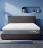 Laxe 8 inch Latex Queen Size Mattress