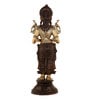 Laxmiji Deep Brass Multicolour Religious Idol
