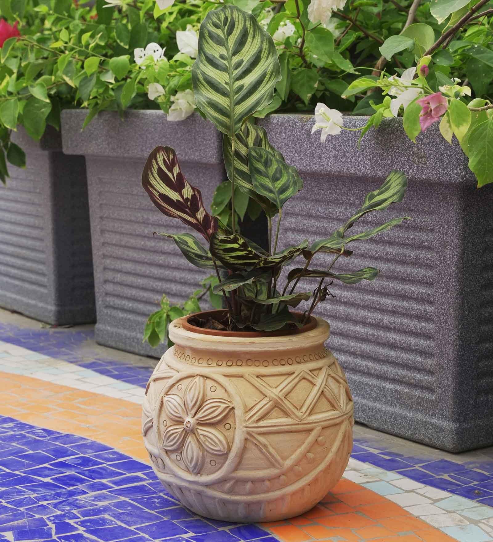 Beige Leaf Foilage Clay Planter