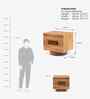 Le Dame Bedside With In Acacia Wood Finish