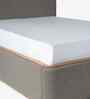 Le Dame Queen Size Bed In Acacia Wood Finish