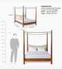 Le Roi Queen Size Bed In Kiara Finish