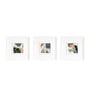 Imperial Multicolour Synthetic Wood Framed Floral Art Print Set of 3