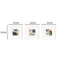 Imperial Multicolour Synthetic Wood Framed Floral Art Print Set of 3