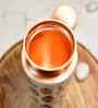 Leaf Elixir Copper Bottle
