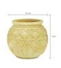 Beige Leaf Foilage Clay Planter
