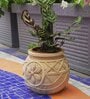 Beige Leaf Foilage Clay Planter