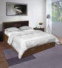 Leaf Queen Size Bed with Storage in Wenge Finish