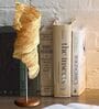 Leafcurl Crushed Paper   Banana Fibre Table Lamp