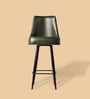 Leather Bar Stool in Olive Green Colour