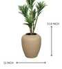 Leather Luxe Premium Beige Colour Planter Leather Luxe Premium Beige Colour Planter