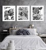 Leaves White Paper Framed Floral Art Print Set of 3