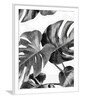 Leaves White Paper Framed Floral Art Print Set of 3