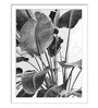 Leaves White Paper Framed Floral Art Print Set of 3