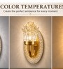 Golden LED Novelty Wall Light LED05 Set of 2