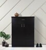 Leeds Shoe Cabinet in Wenge Finish