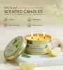 Lemon 3 Wick Scented Candle in Container with Lid