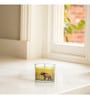 Lemon Sorbet Glass Candle (Yellow)