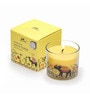 Lemon Sorbet Glass Candle (Yellow)