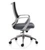 Leo Ergonomic Chair in Grey & Black Colour