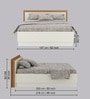Leo Queen Size Bed in Oak and White Finish With Box Storage