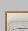 Leo Queen Size Bed in Oak and White Finish With Box Storage