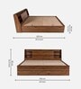Leo Queen Size Bed with Box Storage & Headboard in Columbian Walnut Finish