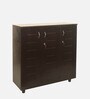 Leo Shoe Cabinet in Wenge Finish