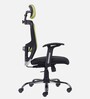 Leo Wave Breathable Mesh Ergonomic Chair in Green Colour