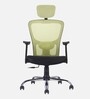 Leo Wave Breathable Mesh Ergonomic Chair in Green Colour
