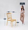 Leon Plastic Chairs in Gold Finish (Set Of 2)