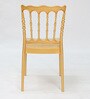 Leon Plastic Chairs in Gold Finish (Set Of 2)