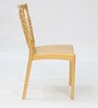 Leon Plastic Chairs in Gold Finish (Set Of 2)