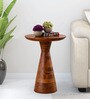 Leon Solid Wood End Table In Natural Finish