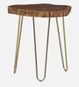 Lester Solid Wood End Table In Brass Finish