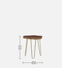 Lester Solid Wood End Table In Brass Finish