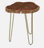Lester Solid Wood End Table In Brass Finish