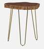 Lester Solid Wood End Table In Brass Finish