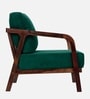 Leviro Sheesham Wood Arm Chair In Green Color