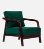 Leviro Sheesham Wood Arm Chair In Green Color