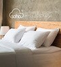 Levitate Orthopeadic Memory Foam 6 Inch King Size Mattress