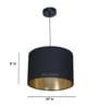Lexington Black Metal Hanging Light